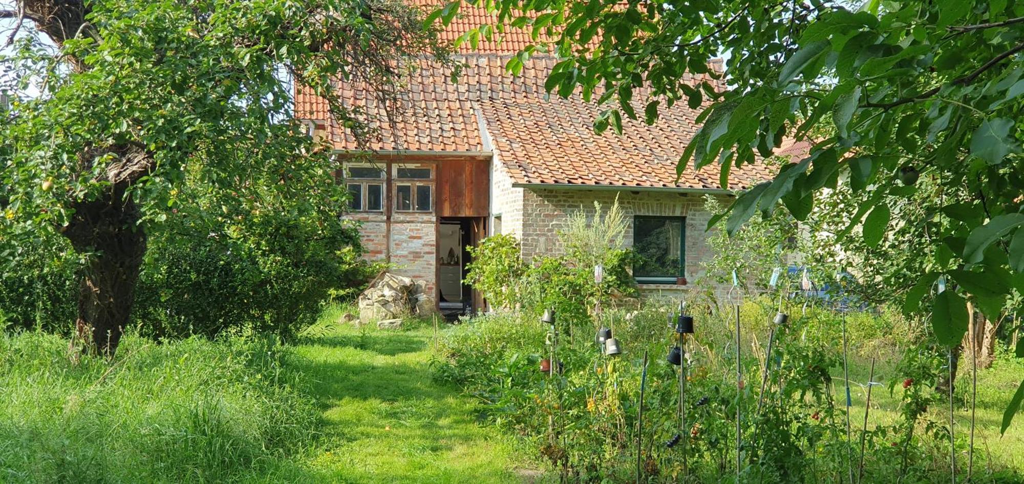 Gartenhaus Schlanstedt Huy Bagian luar foto